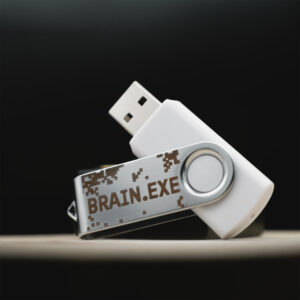 USB-Stick mit Lasergravur "brain.exe"